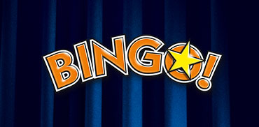 Bingo Logo - Österreichische Lotterien